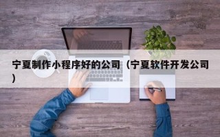广元宁夏制作小程序好的公司（宁夏软件开发公司）